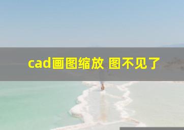 cad画图缩放 图不见了